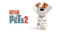 Backdrop to the movie "The Secret Life of Pets 2" #32658