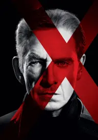 Poster to the movie "X-Men: Days of Future Past" #209748