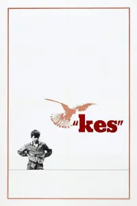 Poster to the movie "Kes" #211589