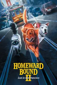 Poster to the movie "Homeward Bound II: Lost in San Francisco" #136065