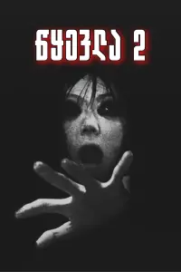 Poster to the movie "Ju-on: The Grudge 2" #355920