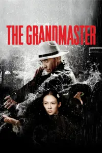 Poster to the movie "The Grandmaster" #275666