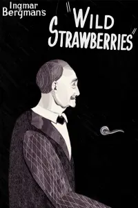 Poster to the movie "Wild Strawberries" #177626