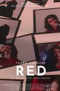 Poster to the movie "Three Colors: Red" #94019