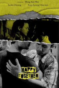 Poster to the movie "Happy Together" #571405