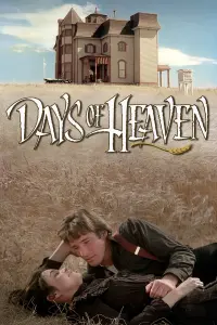 Poster to the movie "Days of Heaven" #140729