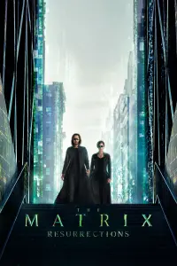 Poster to the movie "The Matrix Resurrections" #314359