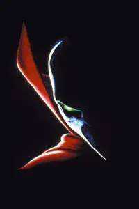 Poster to the movie "Spawn" #336097