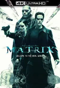 Poster to the movie "The Matrix" #14357