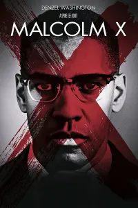 Poster to the movie "Malcolm X" #112578