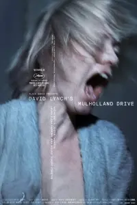 Poster to the movie "Mulholland Drive" #580859