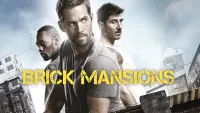 Backdrop to the movie "Brick Mansions" #89439