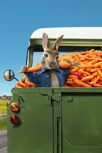 Poster to the movie "Peter Rabbit 2: The Runaway" #237720