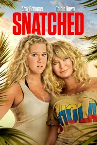 Poster to the movie "Snatched" #87273