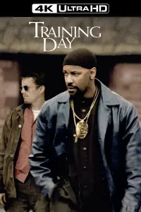 Poster to the movie "Training Day" #211508