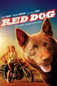 Poster to the movie "Red Dog" #116526