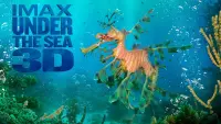 Backdrop to the movie "Under the Sea 3D" #642173