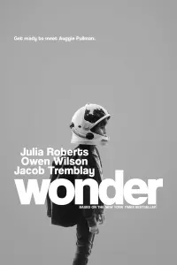 Poster to the movie "Wonder" #317221