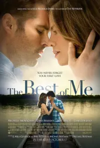 Poster to the movie "The Best of Me" #214288