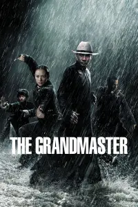 Poster to the movie "The Grandmaster" #275662