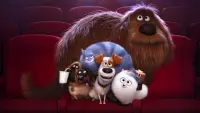 Backdrop to the movie "The Secret Life of Pets" #293691