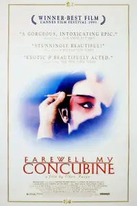 Poster to the movie "Farewell My Concubine" #89432