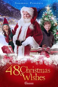 Poster to the movie "48 Christmas Wishes" #352862