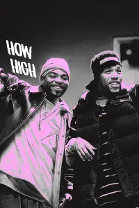 Poster to the movie "How High" #484761