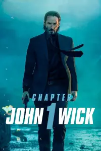 Poster to the movie "John Wick" #51542