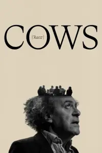 Cows