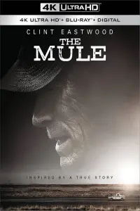 Poster to the movie "The Mule" #69743