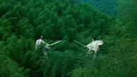 Backdrop to the movie "Crouching Tiger, Hidden Dragon" #431164