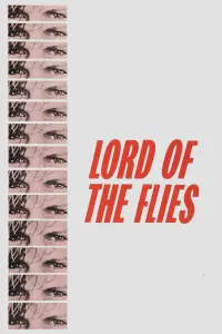 Poster to the movie "Lord of the Flies" #269164