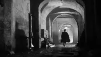 Backdrop to the movie "The Third Man" #559882