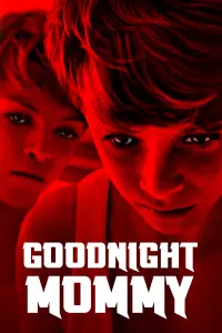 Poster to the movie "Goodnight Mommy" #147057