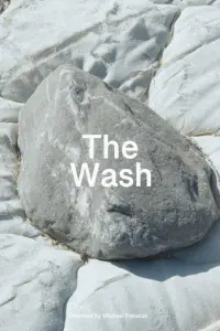 Poster to the movie "The Wash" #677325