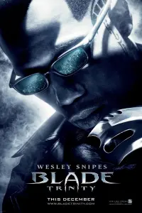 Poster to the movie "Blade: Trinity" #318916