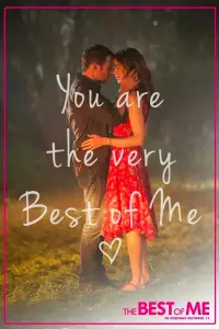 Poster to the movie "The Best of Me" #214289