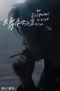 Poster to the movie "An Elephant Sitting Still" #439415