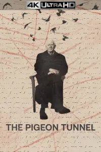 Poster to the movie "The Pigeon Tunnel" #128137