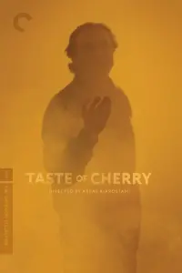 Poster to the movie "Taste of Cherry" #587353