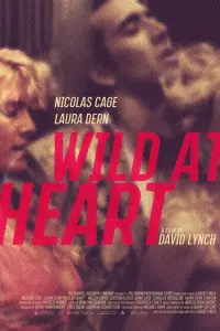 Poster to the movie "Wild at Heart" #134645