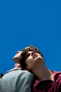 Poster to the movie "Call Me by Your Name" #619252