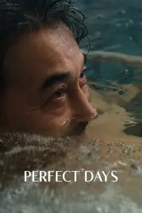 Poster to the movie "Perfect Days" #463476