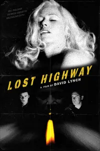 Poster to the movie "Lost Highway" #120897