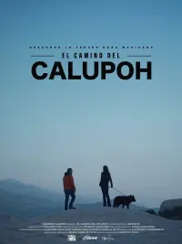 Poster to the movie "El Camino del Calupoh" #555773