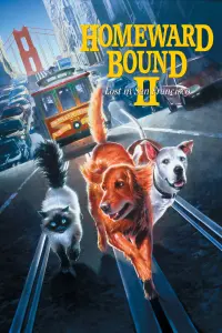 Homeward Bound II: Lost in San Francisco