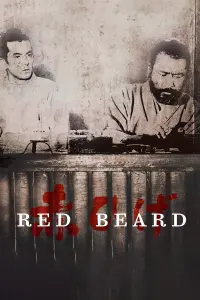 Poster to the movie "Red Beard" #178450