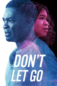 Poster to the movie "Don