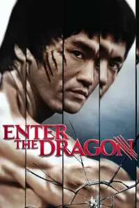 Poster to the movie "Enter the Dragon" #65991